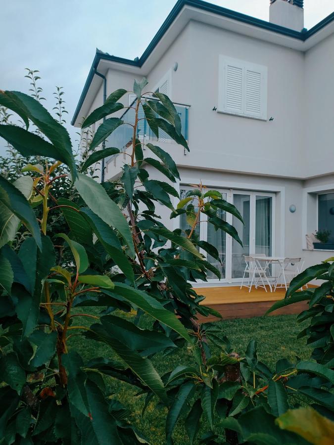 Marena B&B Pogradec Exteriér fotografie