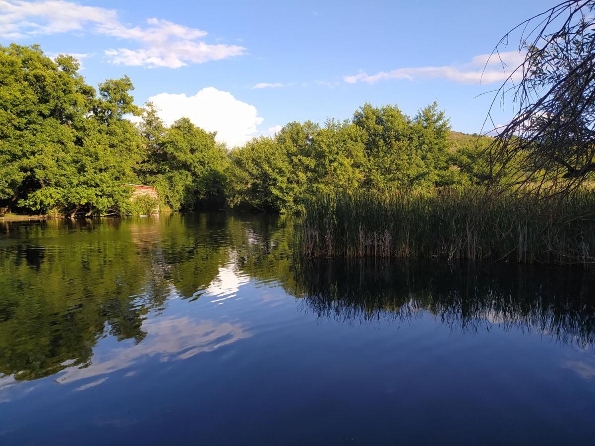 Marena B&B Pogradec Exteriér fotografie